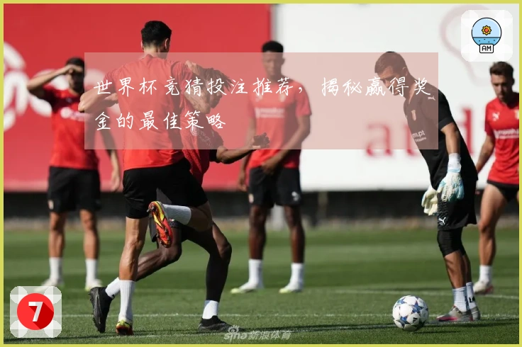 世界杯竞猜投注推荐，揭秘赢得奖金的最佳策略