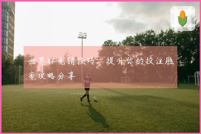 世界杯竞猜技巧：提升你的投注胜率攻略分享