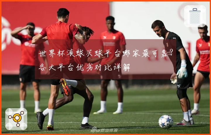 世界杯滚球买球平台哪家最可靠？各大平台优劣对比详解