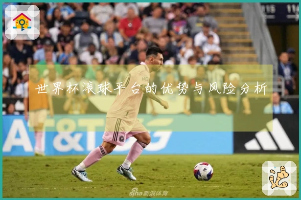 世界杯滚球平台的优势与风险分析