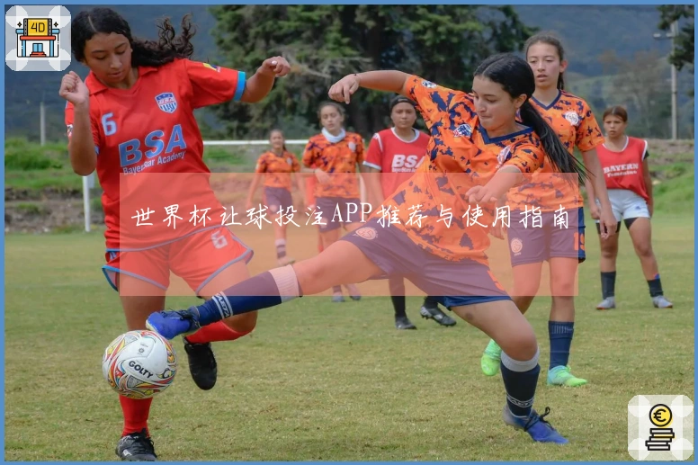 世界杯让球投注APP推荐与使用指南