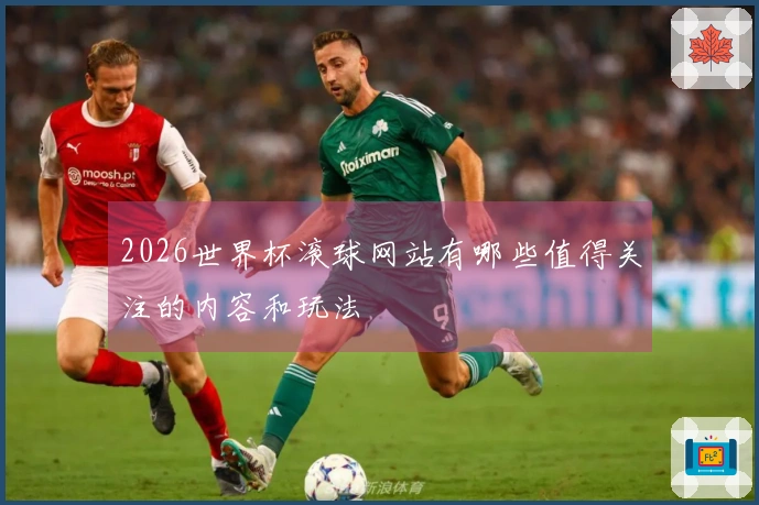 2026世界杯滚球网站有哪些值得关注的内容和玩法
