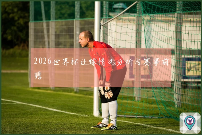 2026世界杯让球情况分析与赛事前瞻