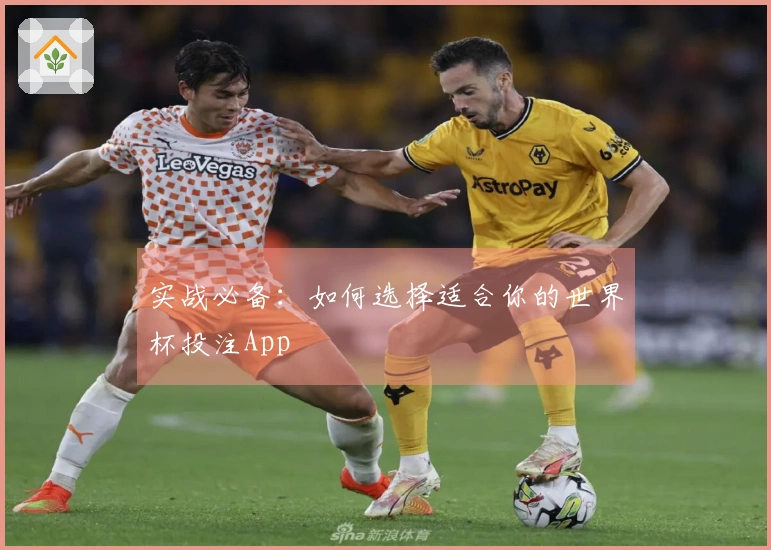 实战必备：如何选择适合你的世界杯投注App
